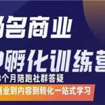 商业IP孵化训练营，从商业到内容到转化一站式学 价值5980元