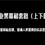 一诺重磅私密课，普通人更需要的实战套路《商业黑幕和套路》