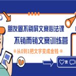 朋友圈不刷屏文案心法课：不销而销文案训练营