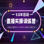蚂蚁·5.0半自动直播2345打法，半自动爆流直播技术+5分钟卡点循环引爆话术