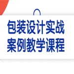 包装设计实战案例教学课程