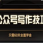 60天,全面学会公众号写作技巧