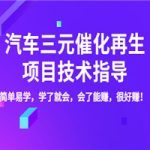 汽车三元催化再生项目技术指导，简单易学，学了就会，会了能赚，很好赚！
